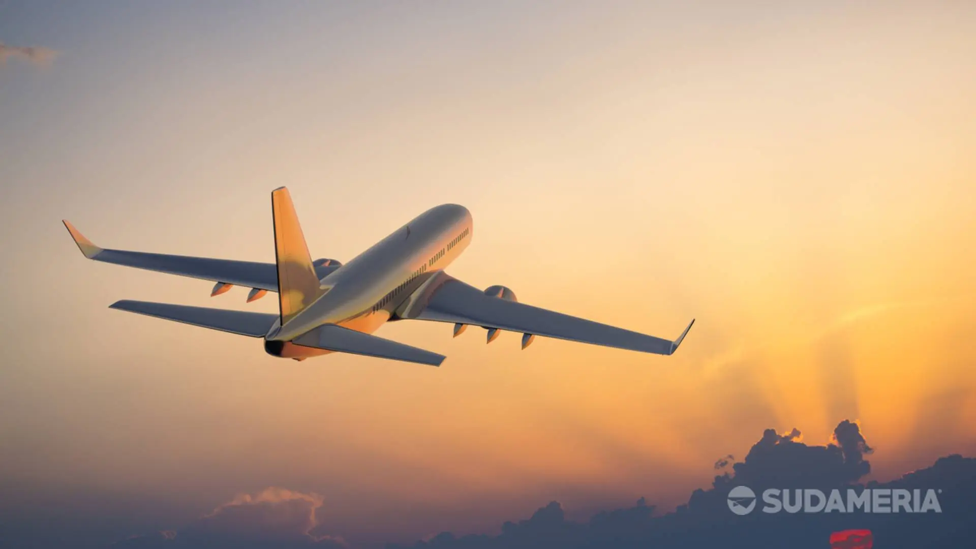 ITA Airways Actualizaciones a la Política de ADM